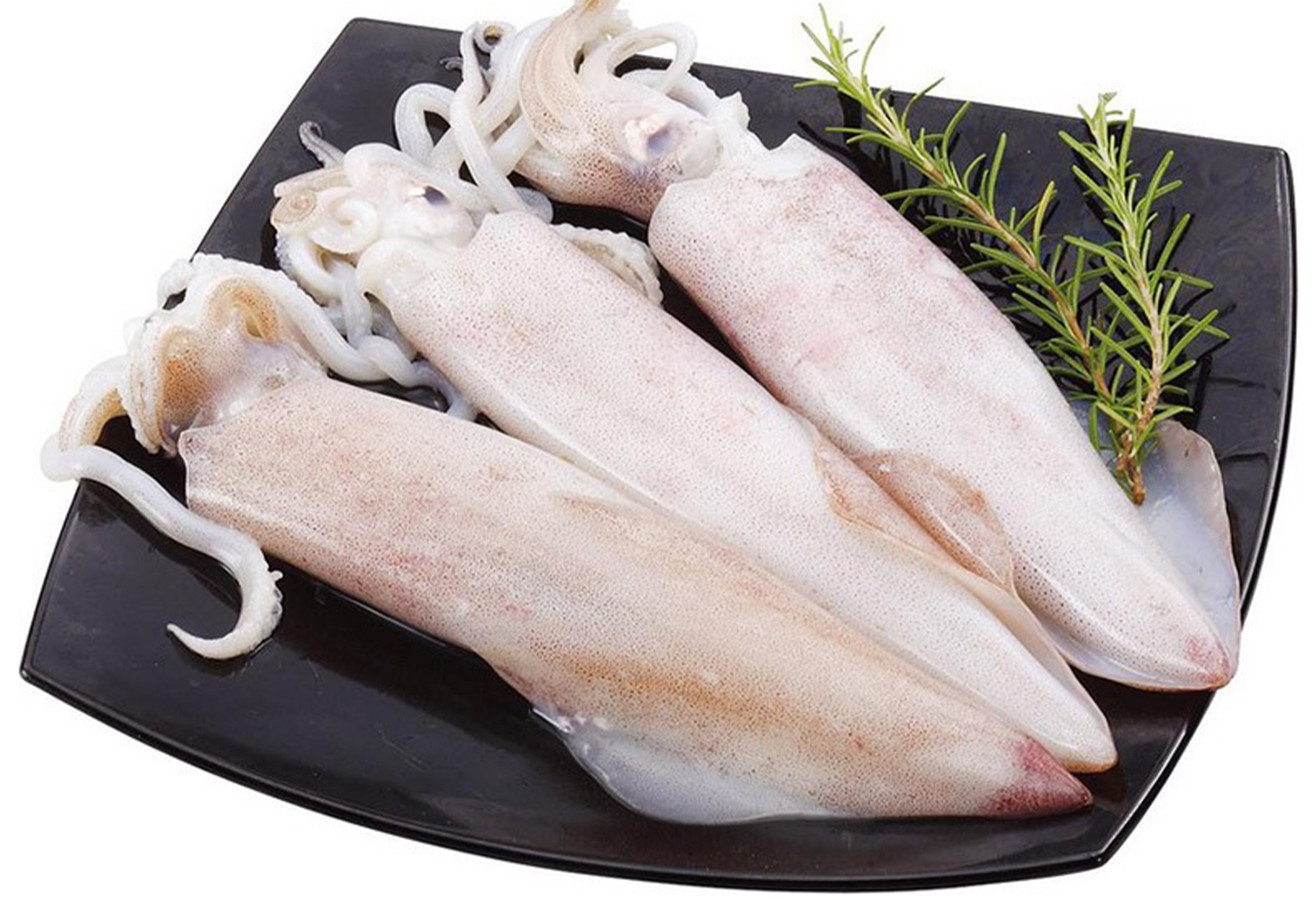 Tintenfisch